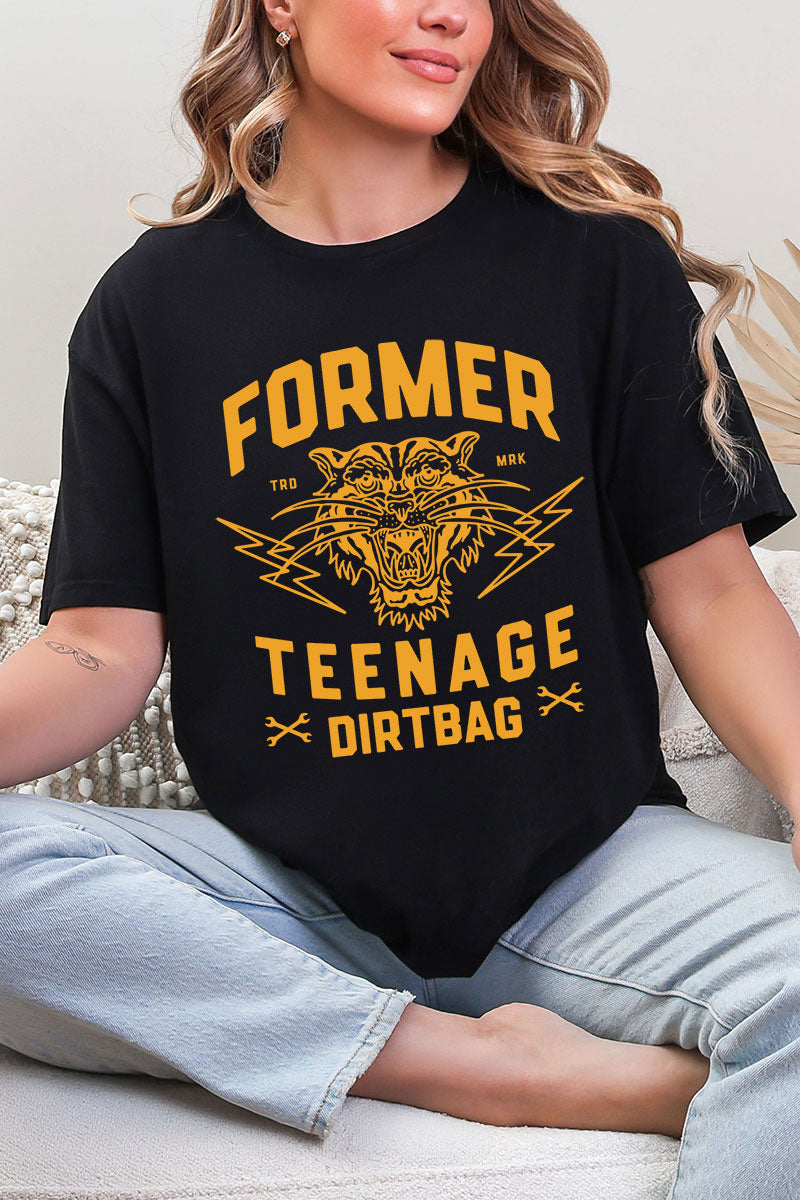 Former Teenage Dirtbag Softstyle Adult T-Shirt product image 3