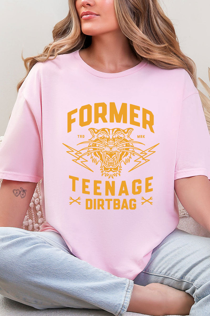 Former Teenage Dirtbag Softstyle Adult T-Shirt product image 9
