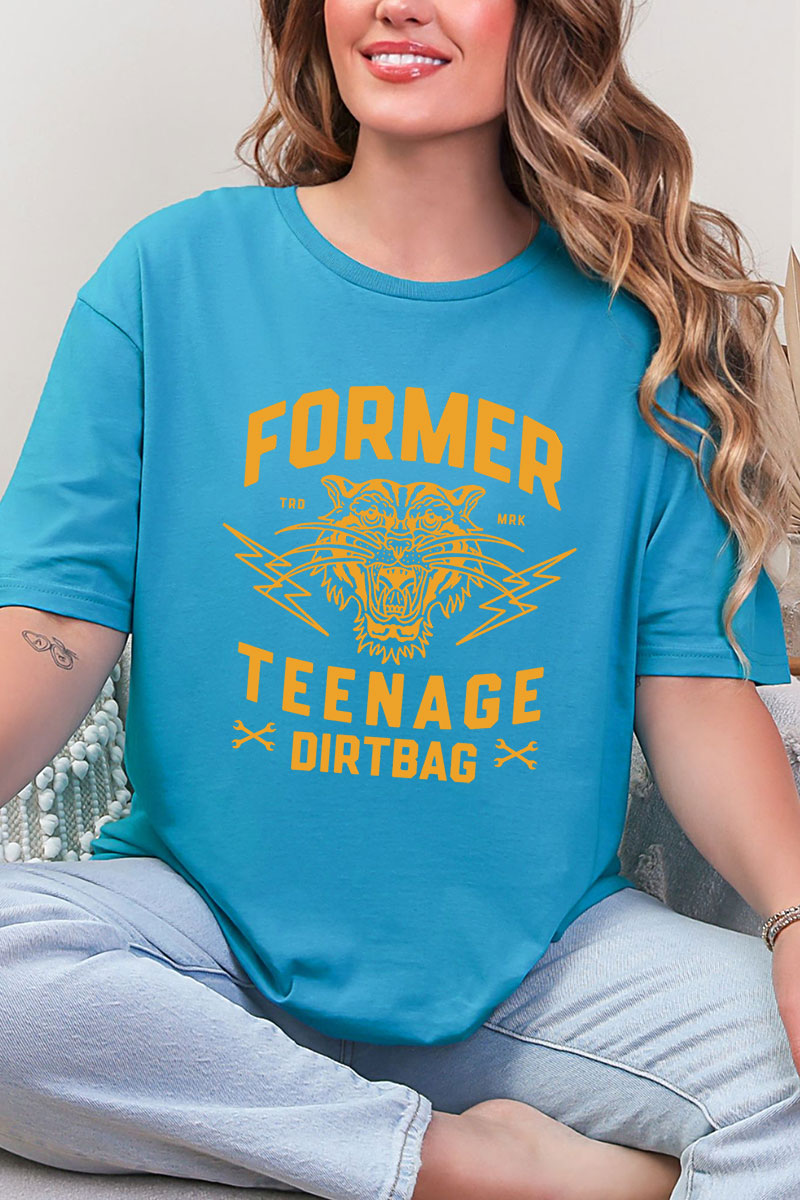 Former Teenage Dirtbag Softstyle Adult T-Shirt product image 11